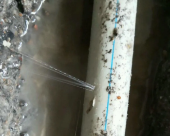 龙胜卫生间测漏水多少钱