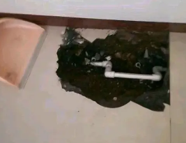 龙胜卫生间测漏水多少钱